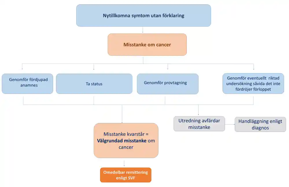Flödesschema för handläggning vid allvarliga ospecifika symtom som kan bero på cancer: symtom utan förklaring väcker misstanke. Genomför anamnes, status, provtagning och eventuell riktad undersökning. Vid avfärdad misstanke, handlägg enligt diagnos. Vid kvarstående misstanke, skicka remiss enligt standardiserat vårdförlopp.