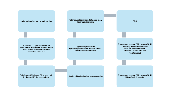 Grafik basal individuell behandling för en patient i primärvård.