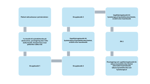Grafik gruppbehandling för en patient i primärvård.