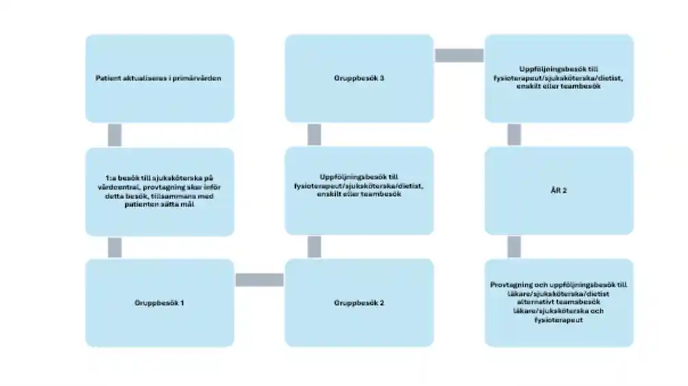 Grafik gruppbehandling för en patient i primärvård.