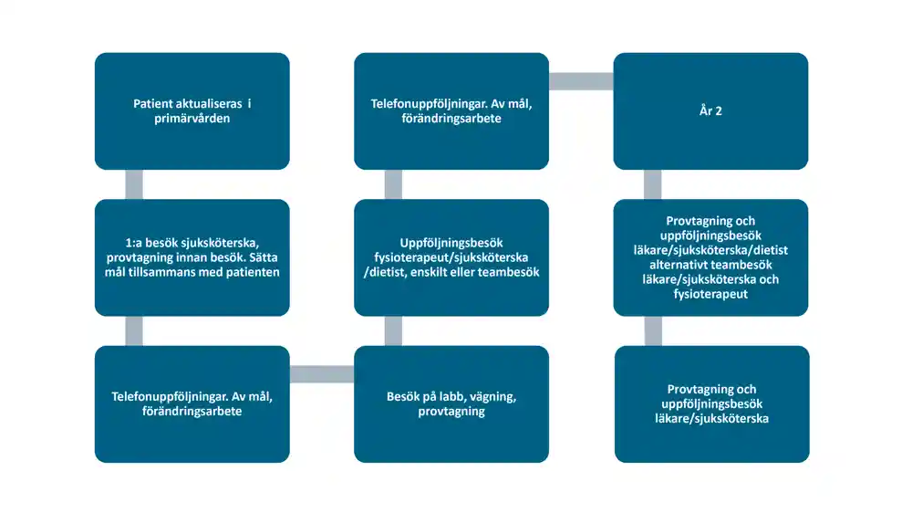Grafik basal individuell behandling för en patient i primärvård.