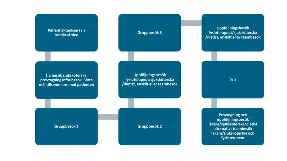 Grafik gruppbehandling för en patient i primärvård.