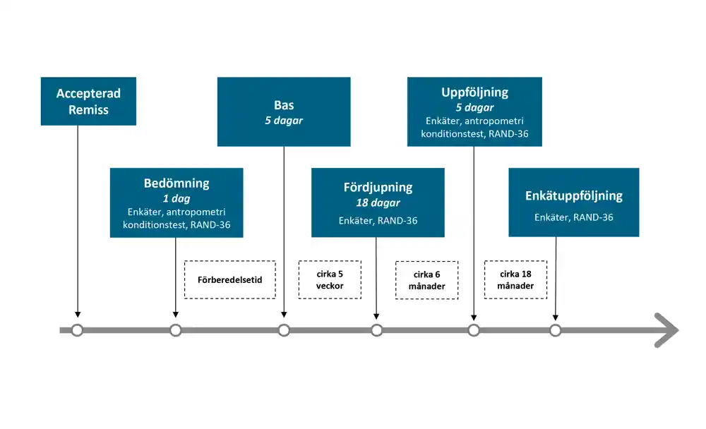 Grafik tidsupplägg och innehåll för kombinerad levnadsvanebehandling.