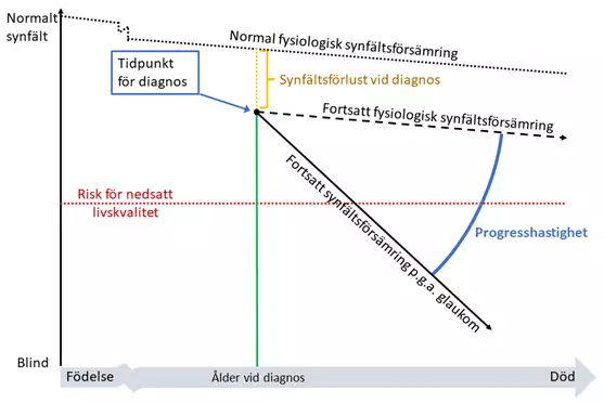 Figur 1. Schematisk figur över synfältsförsämring till stöd för individualiserad behandling och uppföljning. Observera att data i många synfältsapparater är ålderskorrigerade, vilket medför att kurvan avseende fysiologisk synfältsförsämring då blir rak. Figuren är inspirerad av en liknande figur i EGS Guidelines sidan 32, 2020, www.eugs.org.
