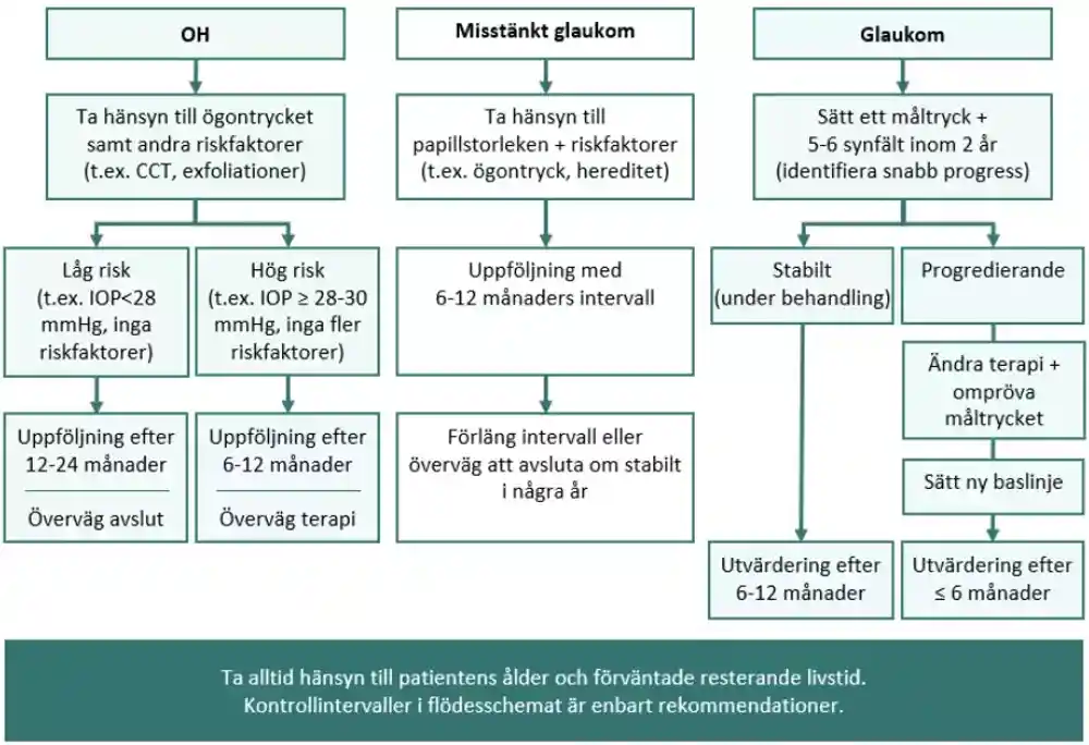 Flödesschema över uppföljning.