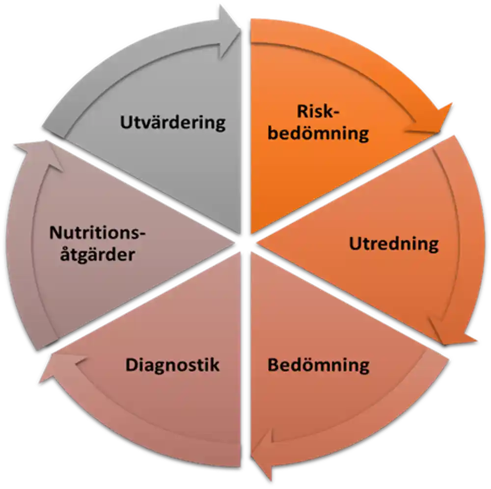 En cirkulär graf som visar nutritionsvårdprocessen uppdelad i sex lika stora sektioner. Varje sektion markeras enligt: "Riskbedömning", "Utredning", "Bedömning", "Diagnostik", "Nutritionsåtgärder'" och "Utvärderin". En genomgående pil genom varje sektion pekar mot nästa steg, vilket illustrerar ett cirkulärt, kontinuerligt flöde.