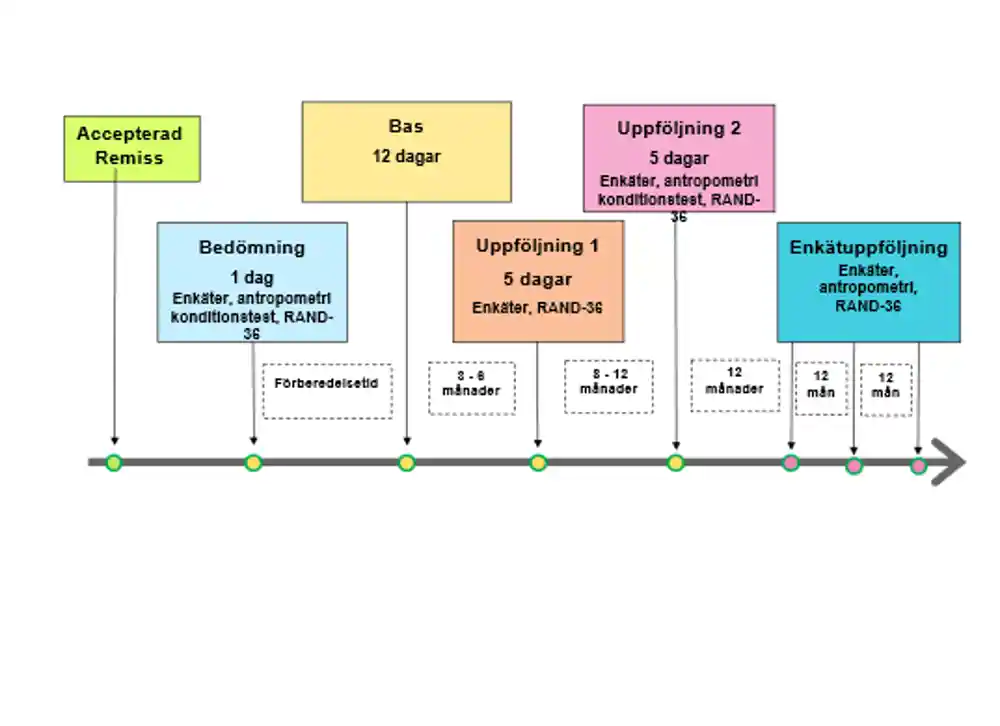 Grafik tidsupplägg och innehåll för kombinerad levnadsvanebehandling .