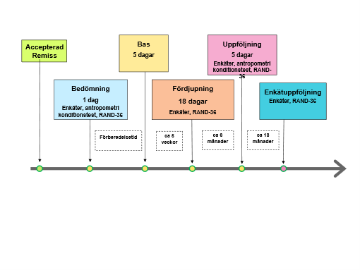Grafik tidsupplägg och innehåll för kombinerad levnadsvanebehandling.