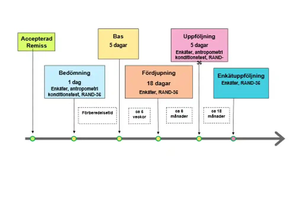 Grafik tidsupplägg och innehåll för kombinerad levnadsvanebehandling.